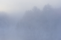 Autumn Forest, Foggy Bogs and Lake Superior Shoreline, Porcupine Mountains Wilderness State Park and Environs, Michigan